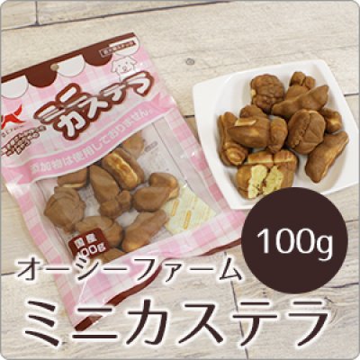 画像1: オーシーファーム ミニカステラ 100g【お菓子屋さんが作ったペットのためのおやつ】【O.C ファーム 無添加】 (1)