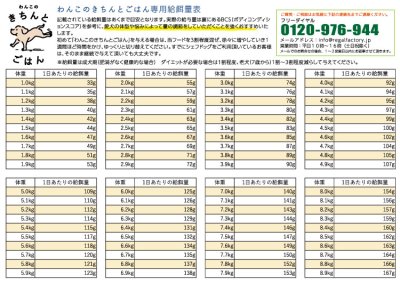 画像19: わんこのきちんとごはん フィッシュ 300g (19)