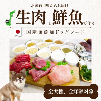 画像4: シェフドッグ　ビーフ　２．１ｋｇ×２袋セット【合計４．２ｋｇ】【お得セット】 (4)