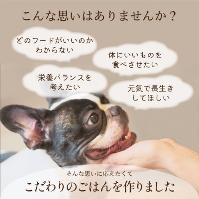 画像6: シェフドッグ　ビーフ　２．１ｋｇ×２袋セット【合計４．２ｋｇ】【お得セット】 (6)