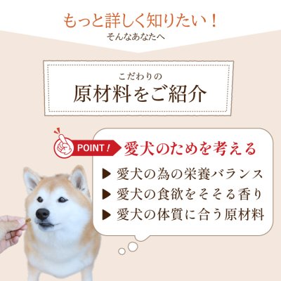 画像13: シェフドッグ　ビーフ　２．１ｋｇ×２袋セット【合計４．２ｋｇ】【お得セット】 (13)