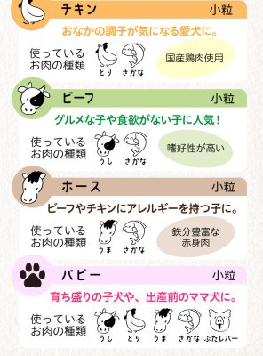 画像16: 【国産 無添加 ドッグフード お試し 送料無料】シェフドッグ　おためし 【宅急便コンパクト】【ナチュラル ドックフード パピー犬 子犬 アダルト犬 成犬 シニア犬 老犬】 (16)