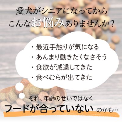 画像4: わんこのきちんとごはん ポーク 300g (4)