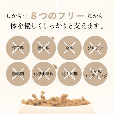 画像6: わんこのきちんとごはん ポーク 300g (6)