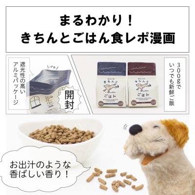 画像8: わんこのきちんとごはん ポーク 300g (8)