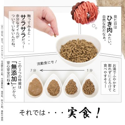 画像9: わんこのきちんとごはん ポーク 300g (9)