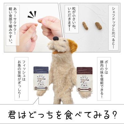 画像10: わんこのきちんとごはん ポーク 300g (10)