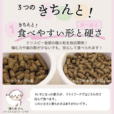画像11: わんこのきちんとごはん ポーク 300g (11)