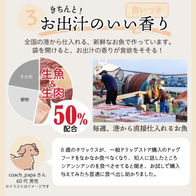 画像13: わんこのきちんとごはん ポーク 300g (13)