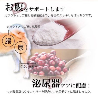 画像15: わんこのきちんとごはん ポーク 300g (15)