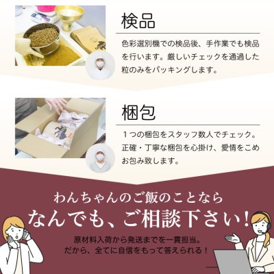 画像18: わんこのきちんとごはん ポーク 300g (18)