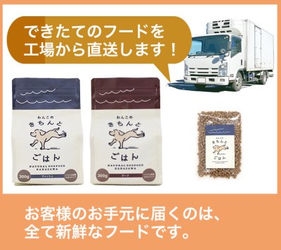 画像19: 【国産 無添加 ドッグフード お試し 送料無料 シニア用】わんこのきちんとごはん　おためしプチ　50g【ゆうパケット ポスト投函商品以外とご一緒の購入はできません】 (19)