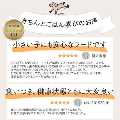 画像3: わんこのきちんとごはん ポーク 300g (3)