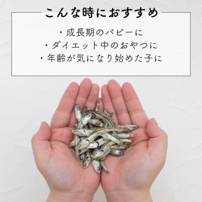 画像3: プライムケイズ　低塩にぼし　いわし【おやつ・国産・無添加・安全・手作り】 (3)