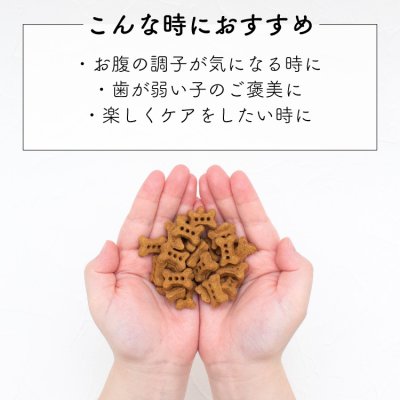 画像2: ナチュラルハーベスト プロバイオビスケット グルコサミン 80g (2)