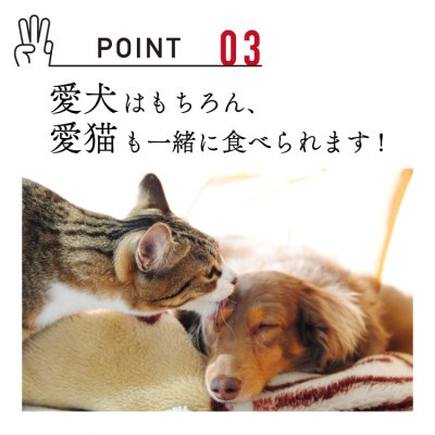 画像6: mogmog　ささみジャーキー　200g【国産 無添加 細切り ササミ おやつ】 (6)