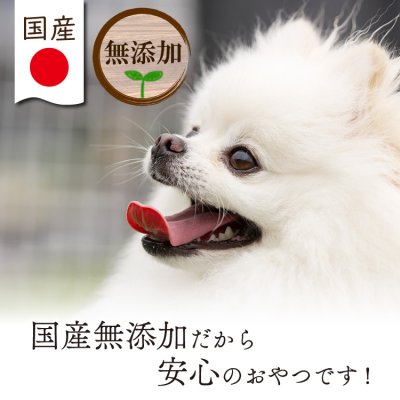 画像7: mogmog　ささみジャーキー　200g【国産 無添加 細切り ササミ おやつ】 (7)