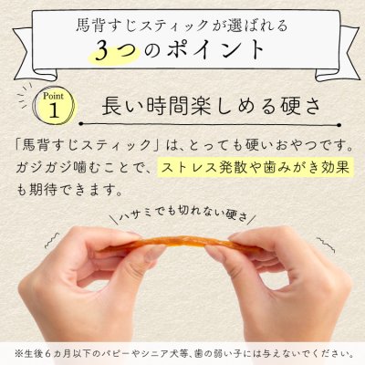 画像6: mogmog　馬背すじスティック　50g【無添加 モンゴル産 馬背筋 オーラルケア デンタルケア ハミガキ 噛む】 (6)
