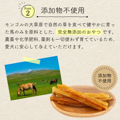 画像5: mogmog　馬背すじスティック　50g【無添加 モンゴル産 馬背筋 オーラルケア デンタルケア ハミガキ 噛む】 (5)