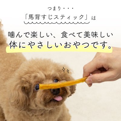 画像8: mogmog　馬背すじスティック　50g【無添加 モンゴル産 馬背筋 オーラルケア デンタルケア ハミガキ 噛む】 (8)