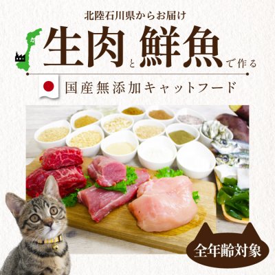 画像2: シェフキャット 2.1kg×2袋セット【合計4.2kg】【国産 ナチュラル キャットフード 】 (2)
