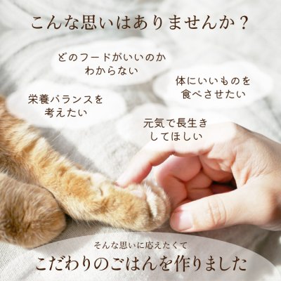 画像3: シェフキャット 2.1kg×2袋セット【合計4.2kg】【国産 ナチュラル キャットフード 】 (3)