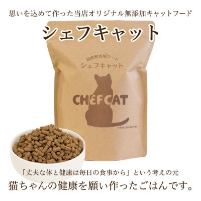 画像4: シェフキャット 2.1kg×2袋セット【合計4.2kg】【国産 ナチュラル キャットフード 】 (4)