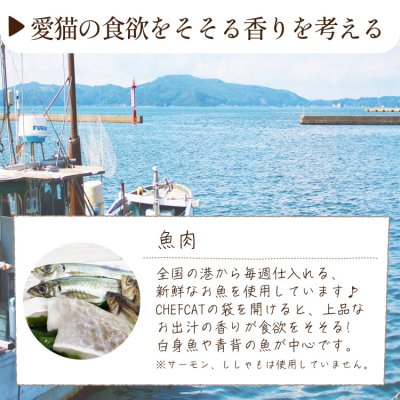 画像13: シェフキャット 2.1kg×2袋セット【合計4.2kg】【国産 ナチュラル キャットフード 】 (13)