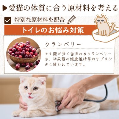 画像14: シェフキャット 2.1kg×2袋セット【合計4.2kg】【国産 ナチュラル キャットフード 】 (14)
