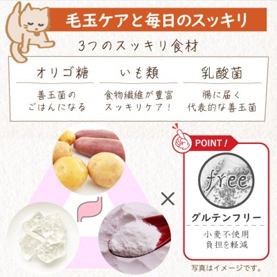 画像15: シェフキャット 2.1kg×2袋セット【合計4.2kg】【国産 ナチュラル キャットフード 】 (15)