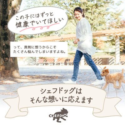 画像4: シェフドッグ チキン 2.1kg×2袋セット【合計4.2kg】【お得セット】 (4)