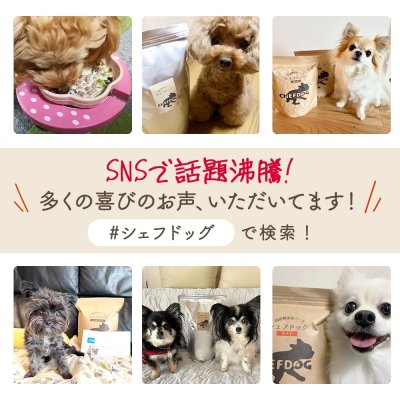 画像6: シェフドッグ チキン 2.1kg×2袋セット【合計4.2kg】【お得セット】 (6)