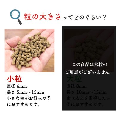 画像12: シェフドッグ チキン 2.1kg×2袋セット【合計4.2kg】【お得セット】 (12)