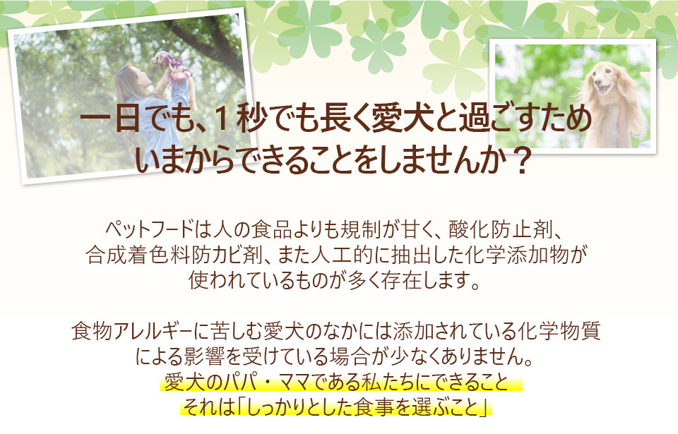 あなたは1秒でも長く愛犬と一緒にいたいですか?牛肉、豚肉、鶏肉、魚、はたまた添加物か、、、愛犬がアレルギーを持っている可能性を考えたことありますでしょうか。人間同様に愛犬の体内に入るものの原材料、製造元、製造方法にこだわって、長生きできるよう考える時代です。愛犬の健康的な生活のために、きちんと飼い主さんが知識をつけて、適切なフードを選んであげる必要があります。1つの選択肢としてシェフドッグをご紹介します。