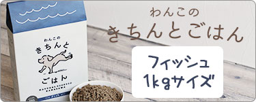 わんこのきちんとごはん