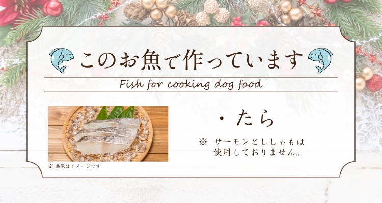 使用しているお魚