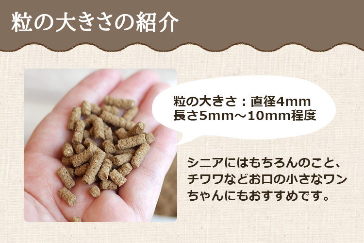 新ブランド
